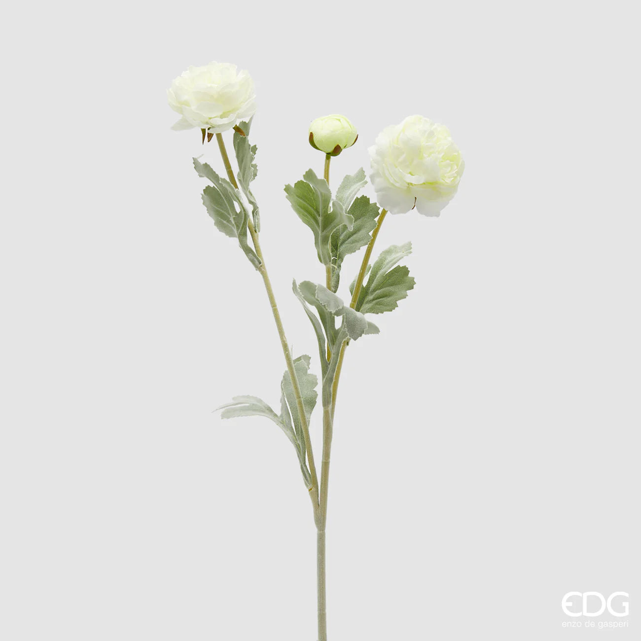 EDG - Ramo di Ranuncolo 3 Fiori H 50cm Bianco