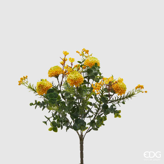 EDG - Dahlia Bush H37 Yellow