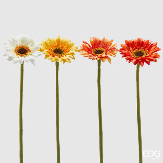 EDG - Ramo di Gerbera Rex H37 cm