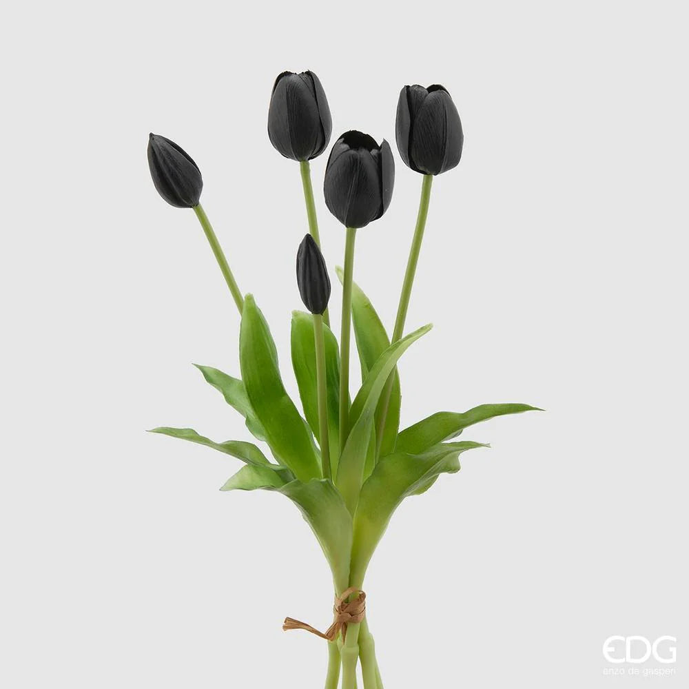 EDG - Bunch of 5 Gomm Olis Tulips H40 cm Black