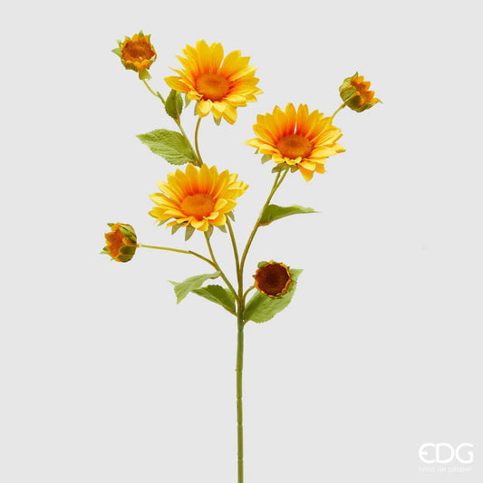 EDG - Branche de Tournesol h75