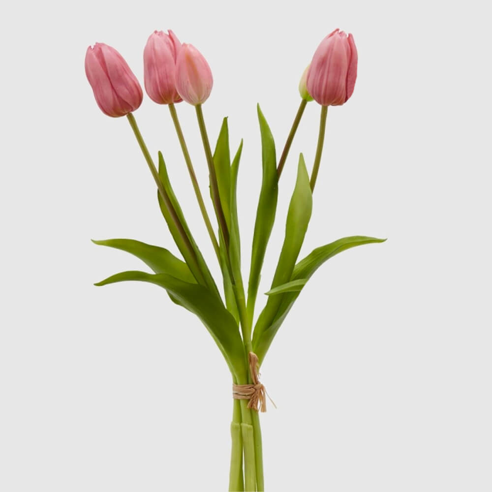 EDG - Bouquet 5 Tulipes H 40 Rose