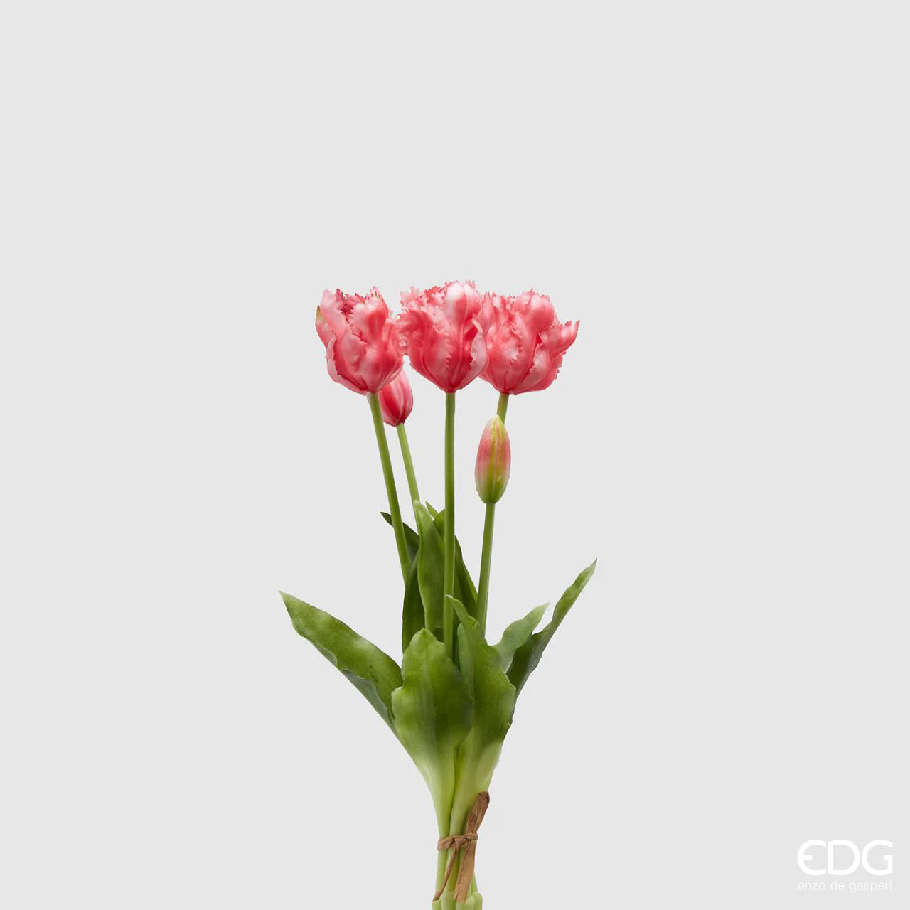 EDG - Bouquet de tulipes roses perroquet