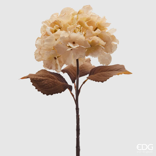 EDG - Hydrangea Branch Olis H 50 Champagne