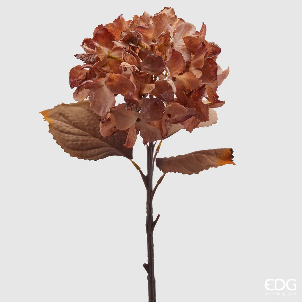 EDG - Hydrangea Branch Olis H50 cm Copper