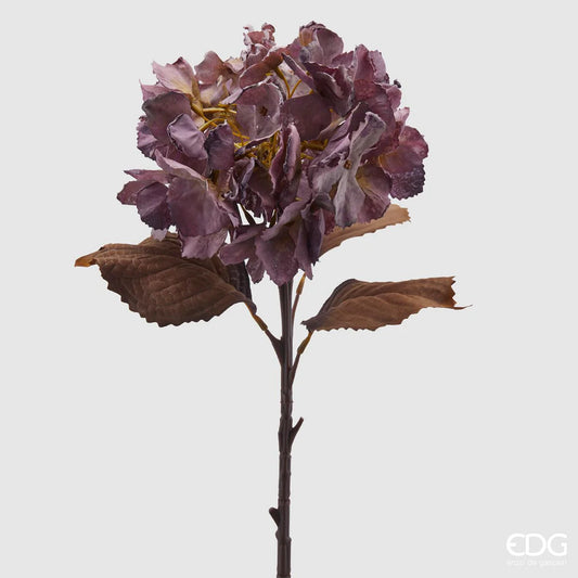 EDG - Branche d'Hortensia Olis H50 cm Prune