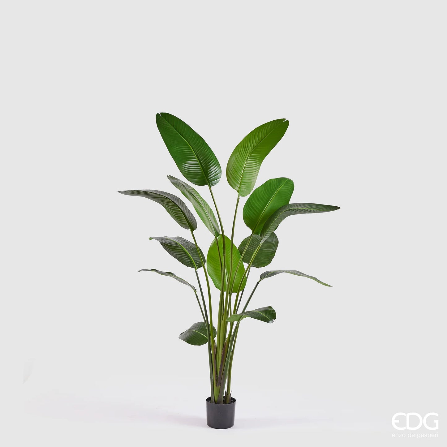 EDG - Pianta Artificiale Strelitzia con Vaso H185 cm