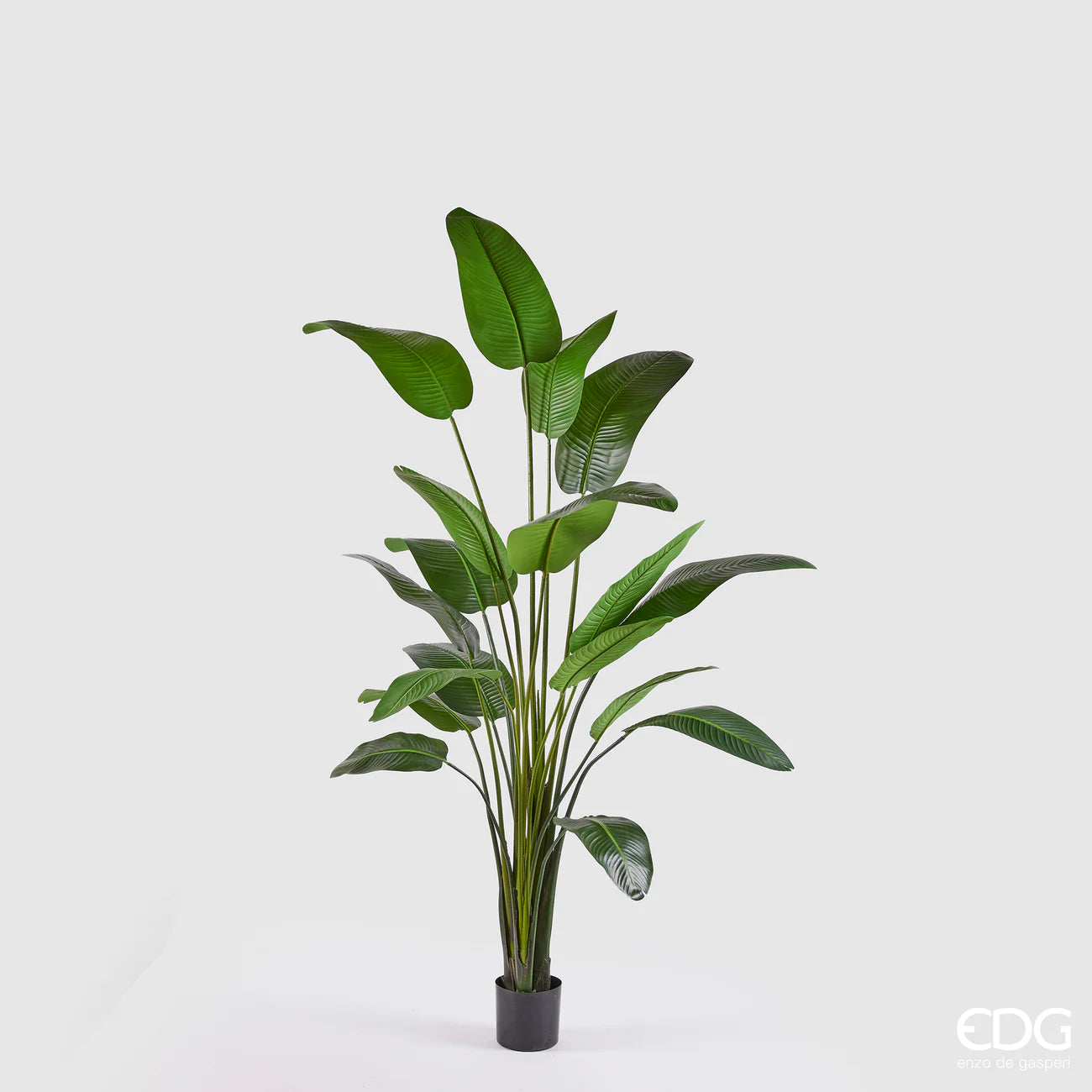 EDG - Strelitzia Artificiale H 260cm