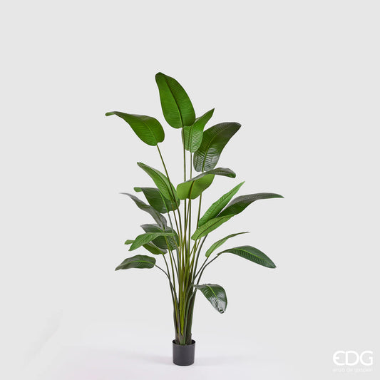 EDG - Strelitzia Artificiale H 260cm