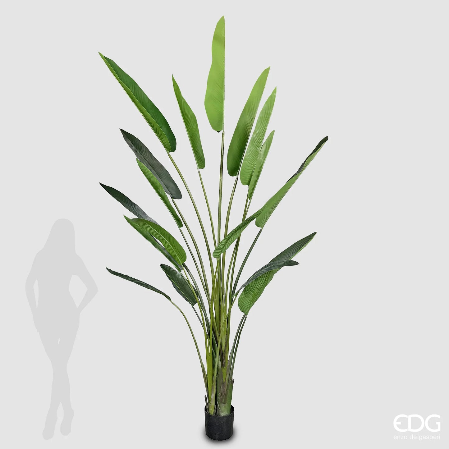 EDG - Strelitzia Artificiale H 310