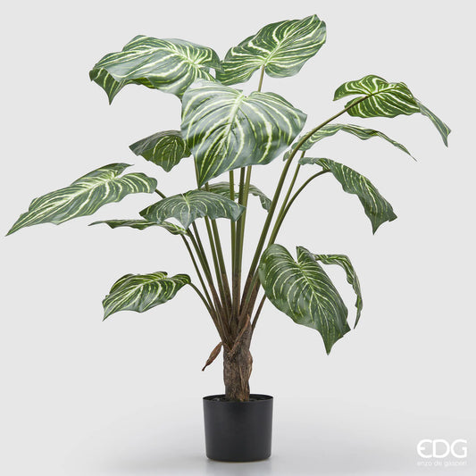 EDG - Pianta Artificiale Calathea con Vaso H100 cm