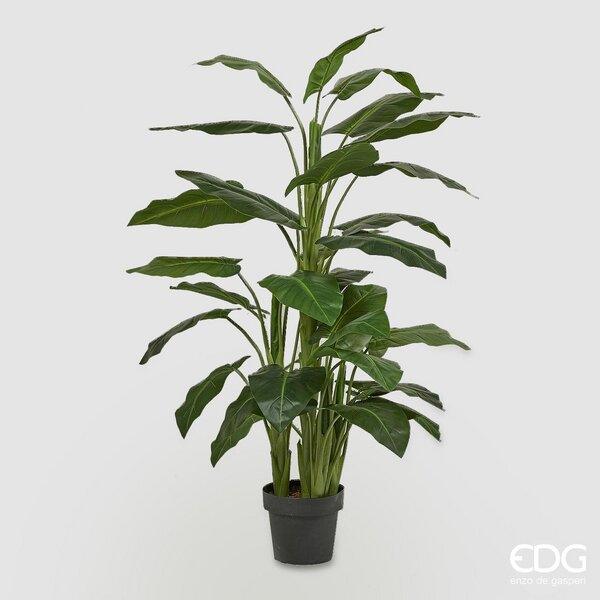 EDG - Pianta con vaso Calla h145 cm