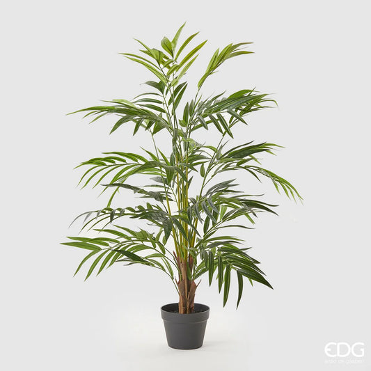 EDG - Pianta Palma Arecaceae Chic con Vaso 120 cm