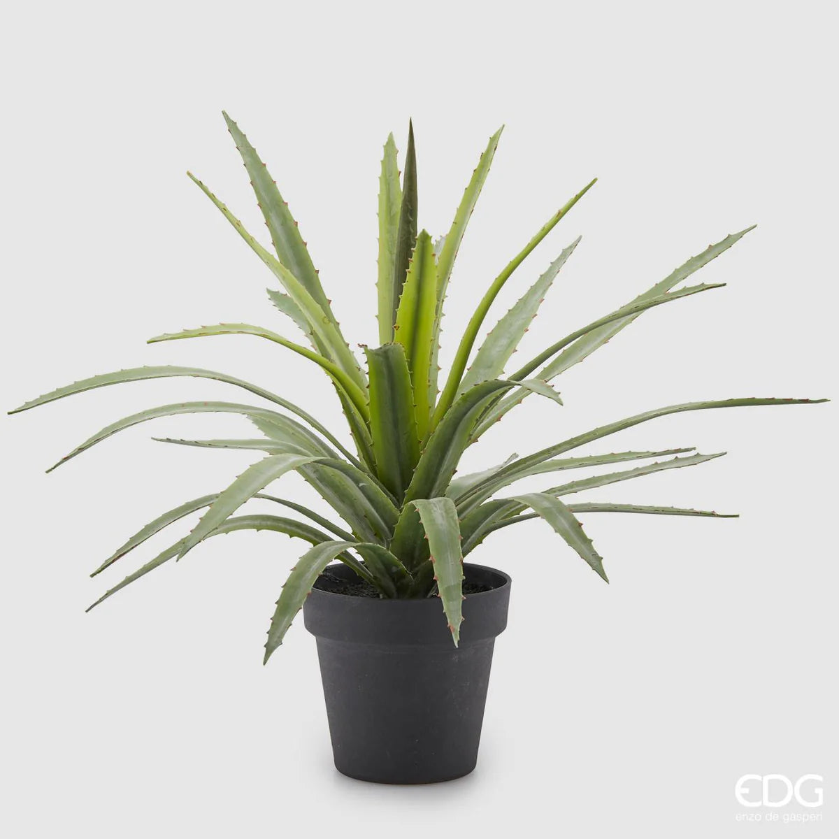 EDG - pianta con vaso Agave Chic H45 cm