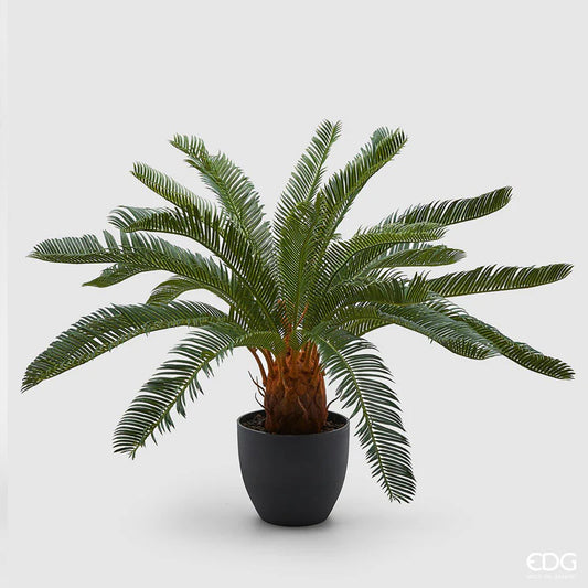 EDG - Pianta Cycas 24 Foglie con vaso H 72cm