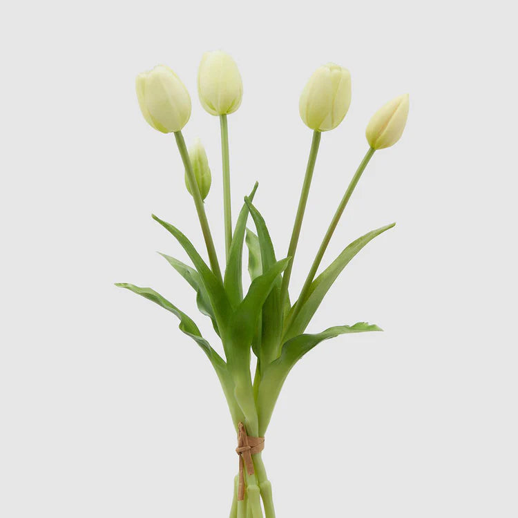 EDG - Bouquet 5 Tulipes Gomm Olis H40 cm Blanc