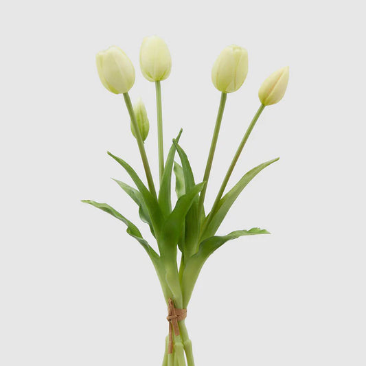 EDG - Bunch of 5 Gomm Olis Tulips H40 cm White