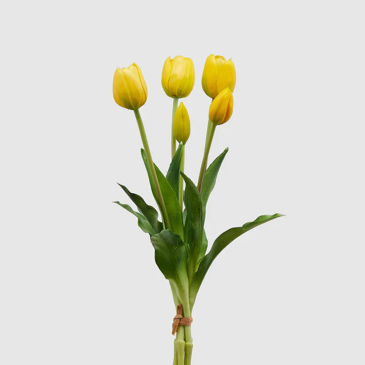 EDG - Mazzo 5 Tulipani Gomm Olis H40 cm Giallo