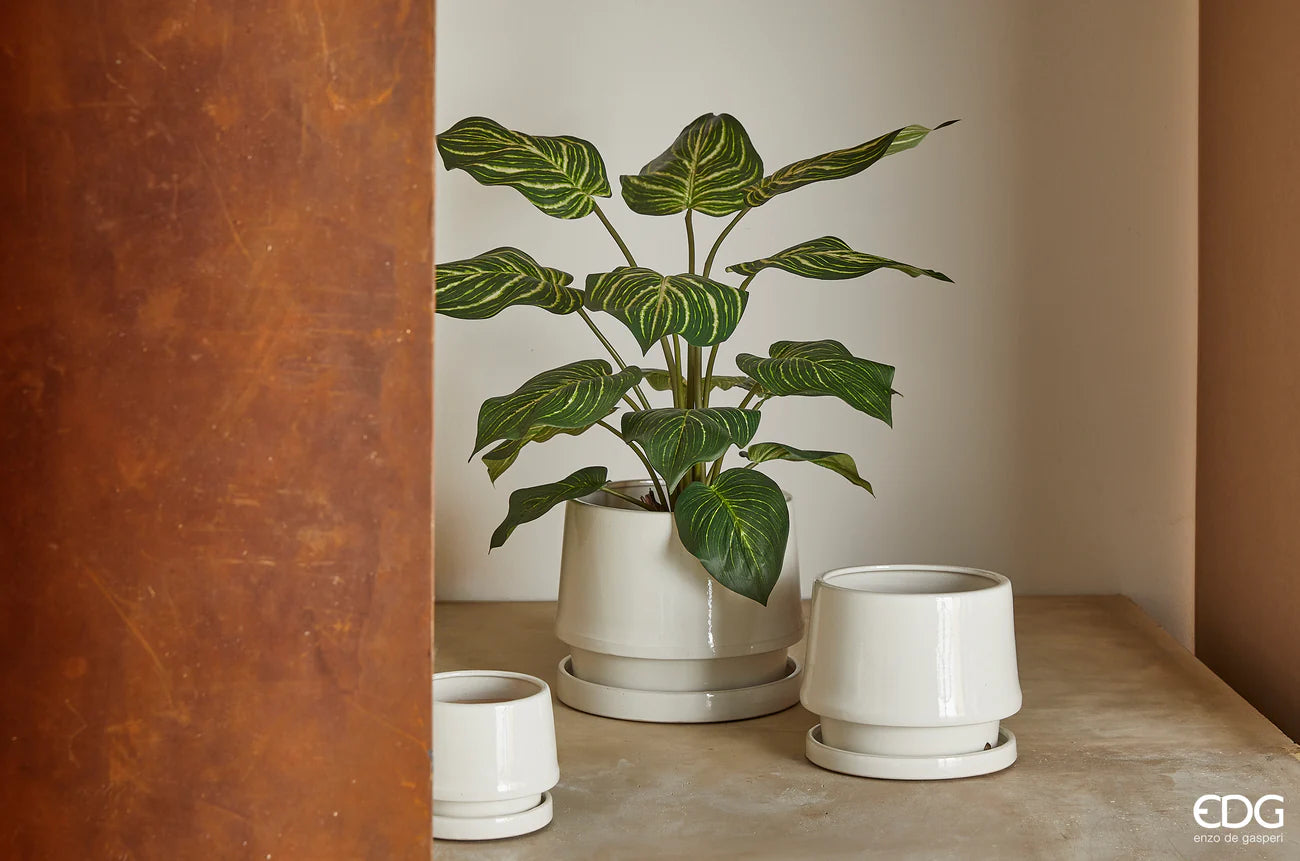 EDG - Pianta Artificiale Calathea con Vaso H60 cm