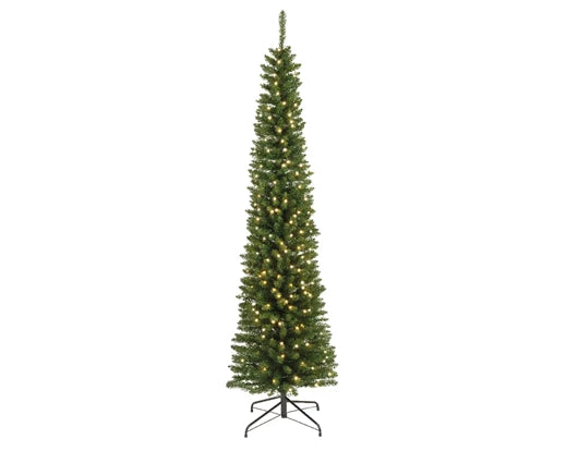 Garden Foggia - Pencil Pine H 210 Pre-lit