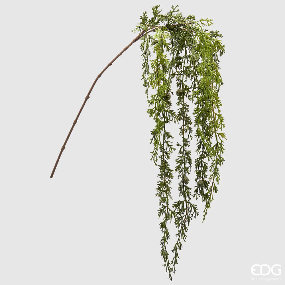 EDG - Thuja Cadente Branch h 140CM