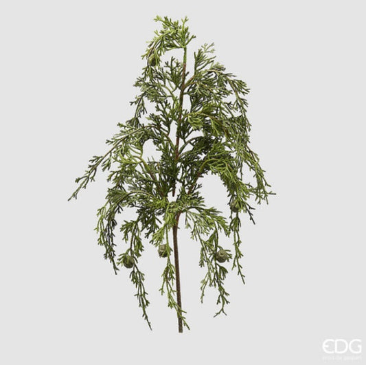 EDG - Thuja Branch Cadente h 55CM