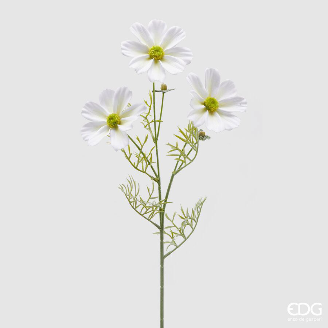 EDG - Ramo Cosmos Bianco