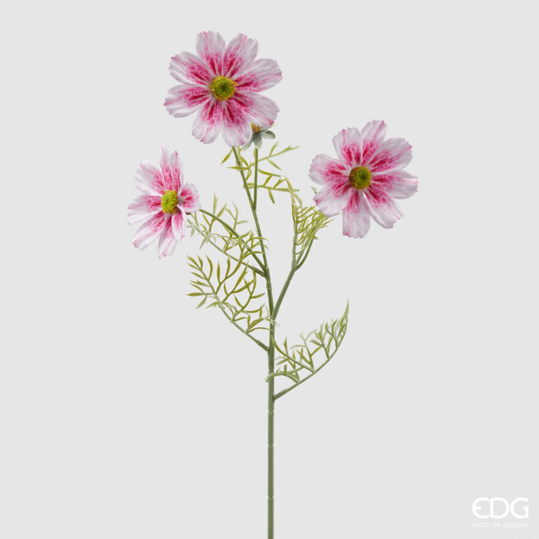 EDG - Ramo Cosmos Rosa e Bianco