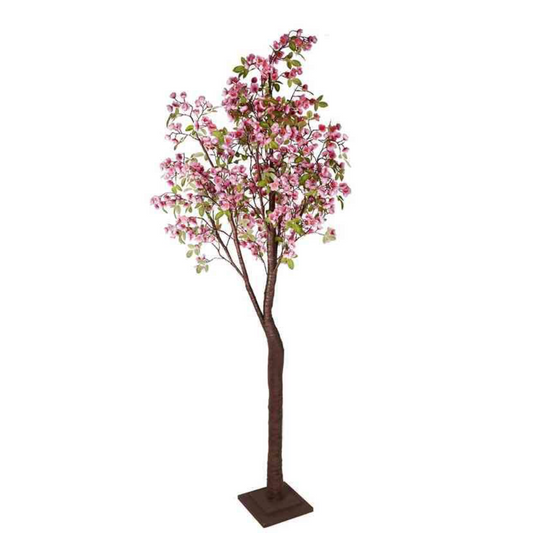 Jardin Foggia - Pêcher Rose h 180 cm