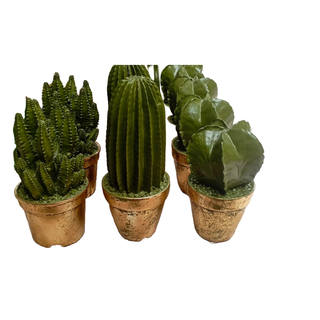 Garden Foggia - Cactus Artificiale in Vaso Gold