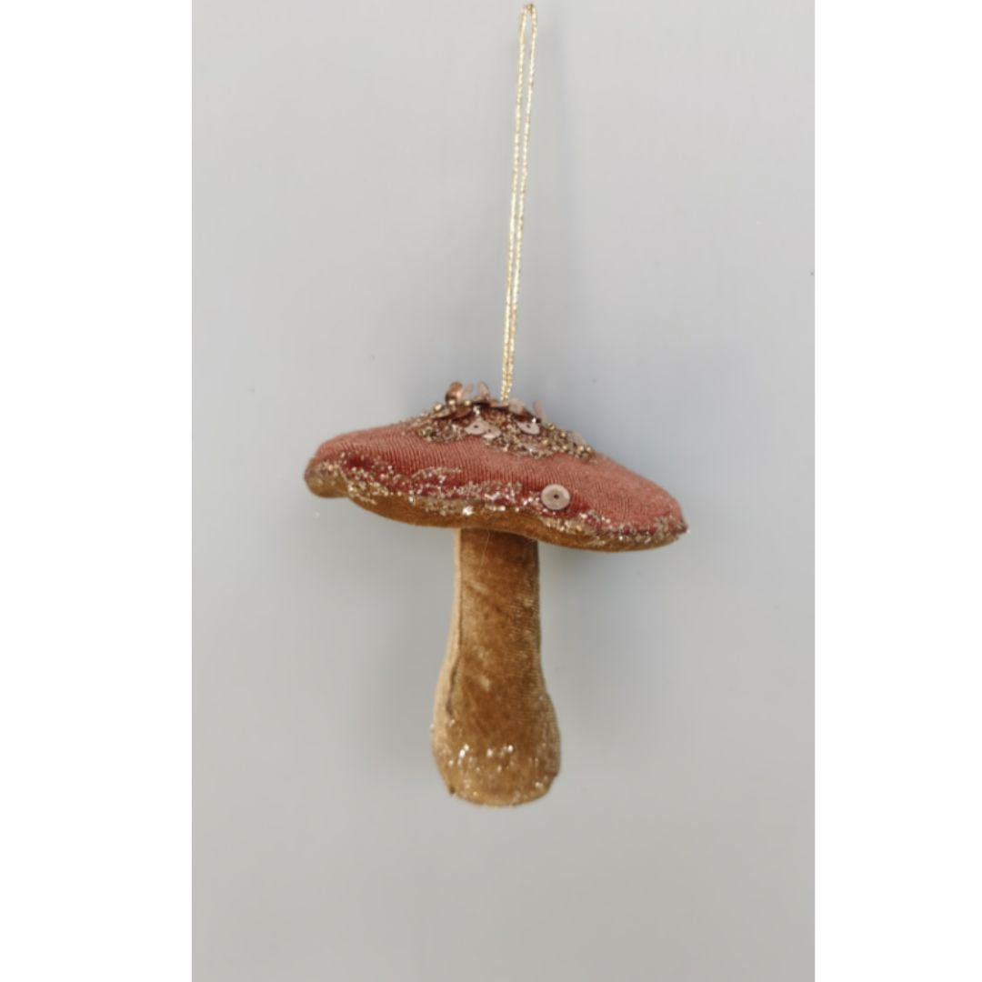 Champignon de jardin Foggia - Red Velvet Mushroom