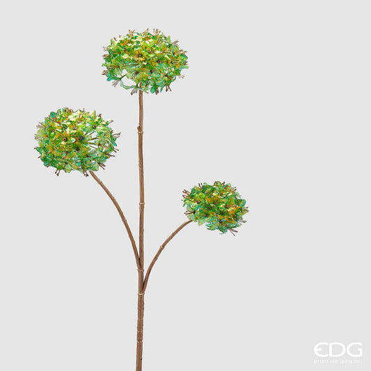 EDG - Branche Reflex de Viburnum Rex