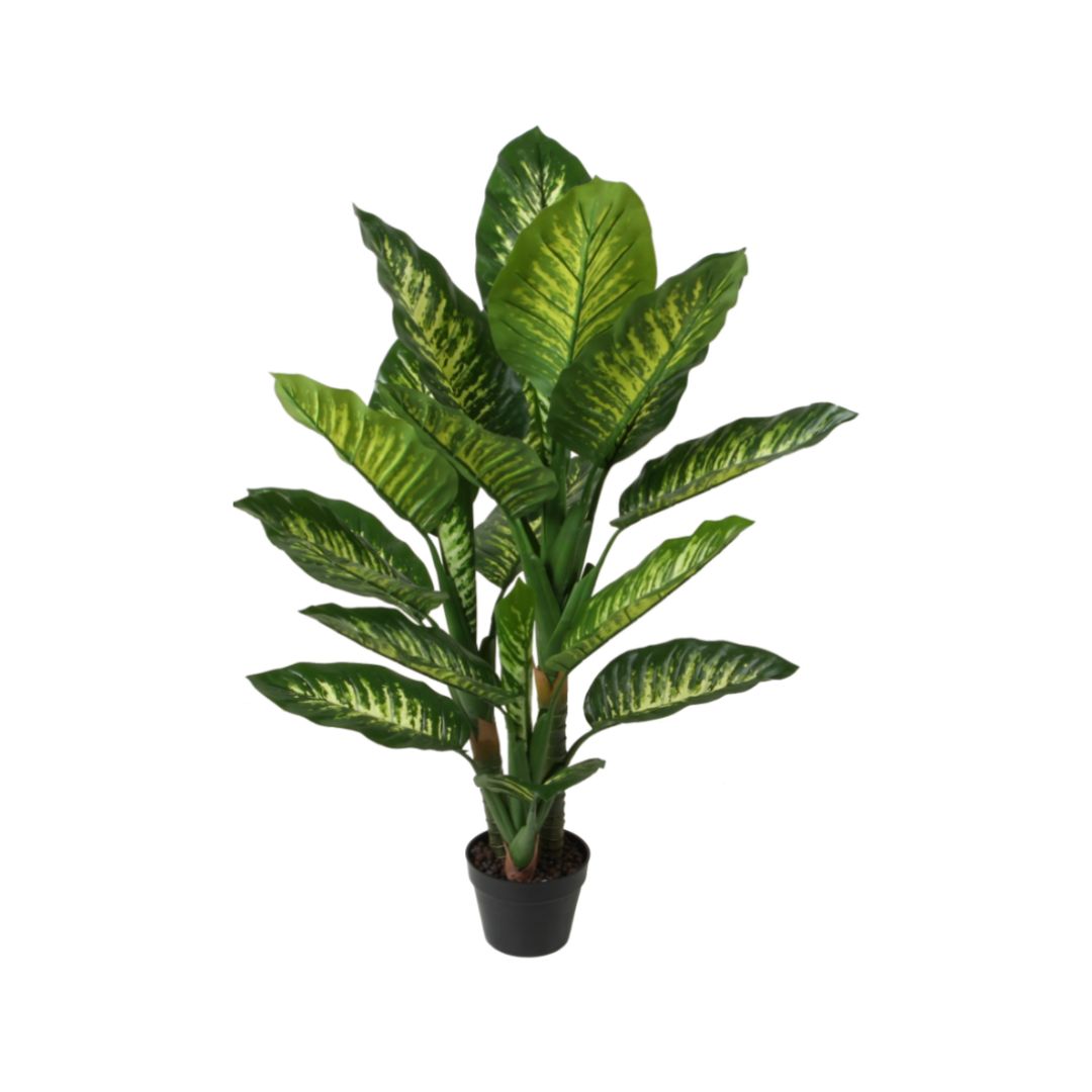 Garden Foggia - Dieffenbachia Artificiale H120