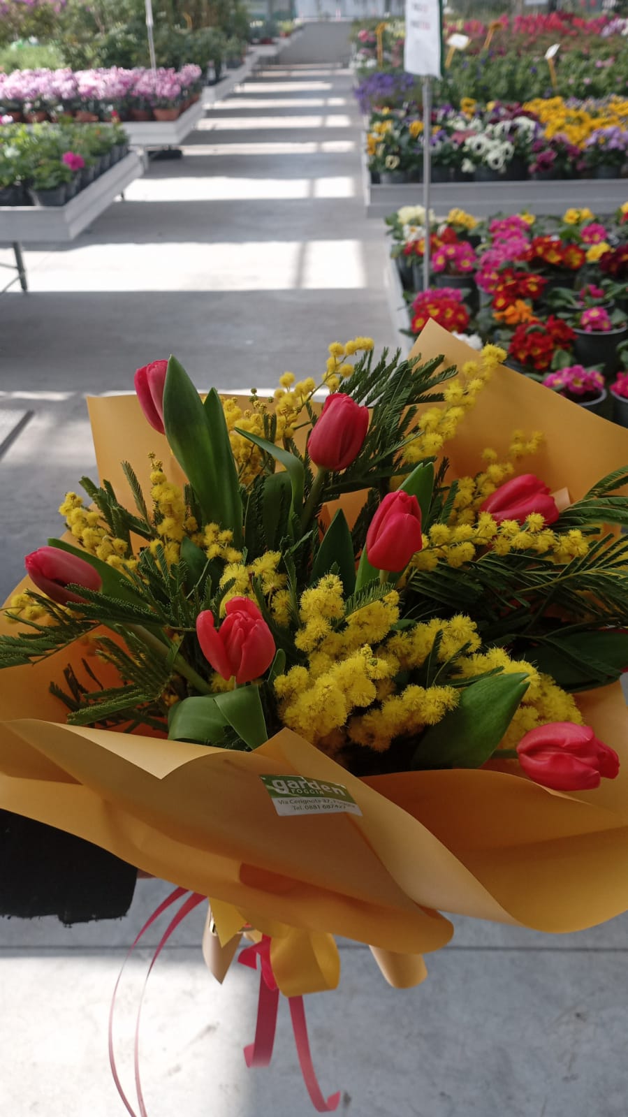 Garden Foggia - Bouquet Tulipani con Mimosa