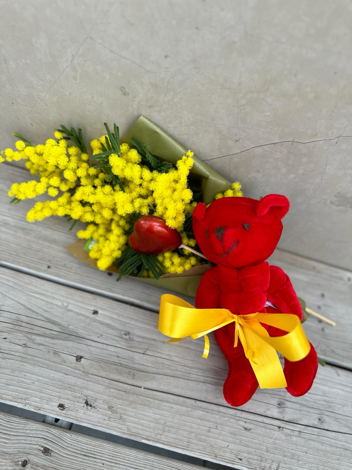 Garden Foggia - Teddy Bear With Mimosa and Little Heart