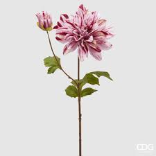 EDG - Branche de dahlia Rex Mauve