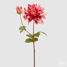 EDG - Rex Pink Dahlia Branch