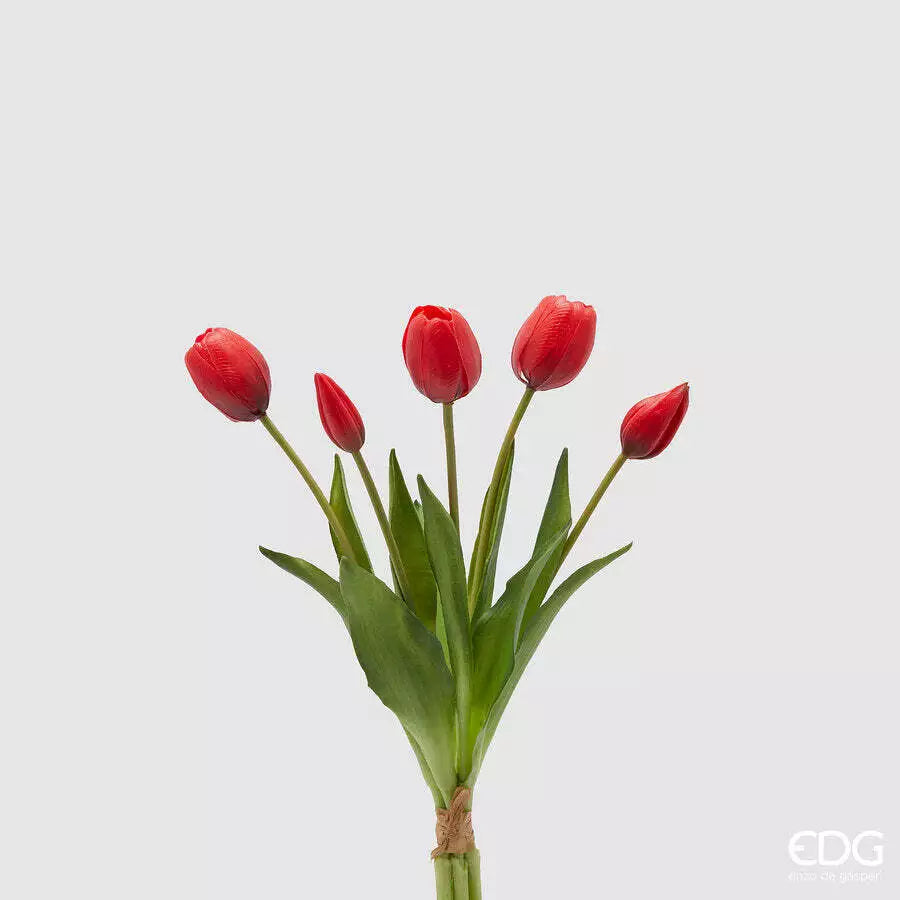 EDG - Mazzo 5 Tulipani Gomm Olis H40 cm Rosso