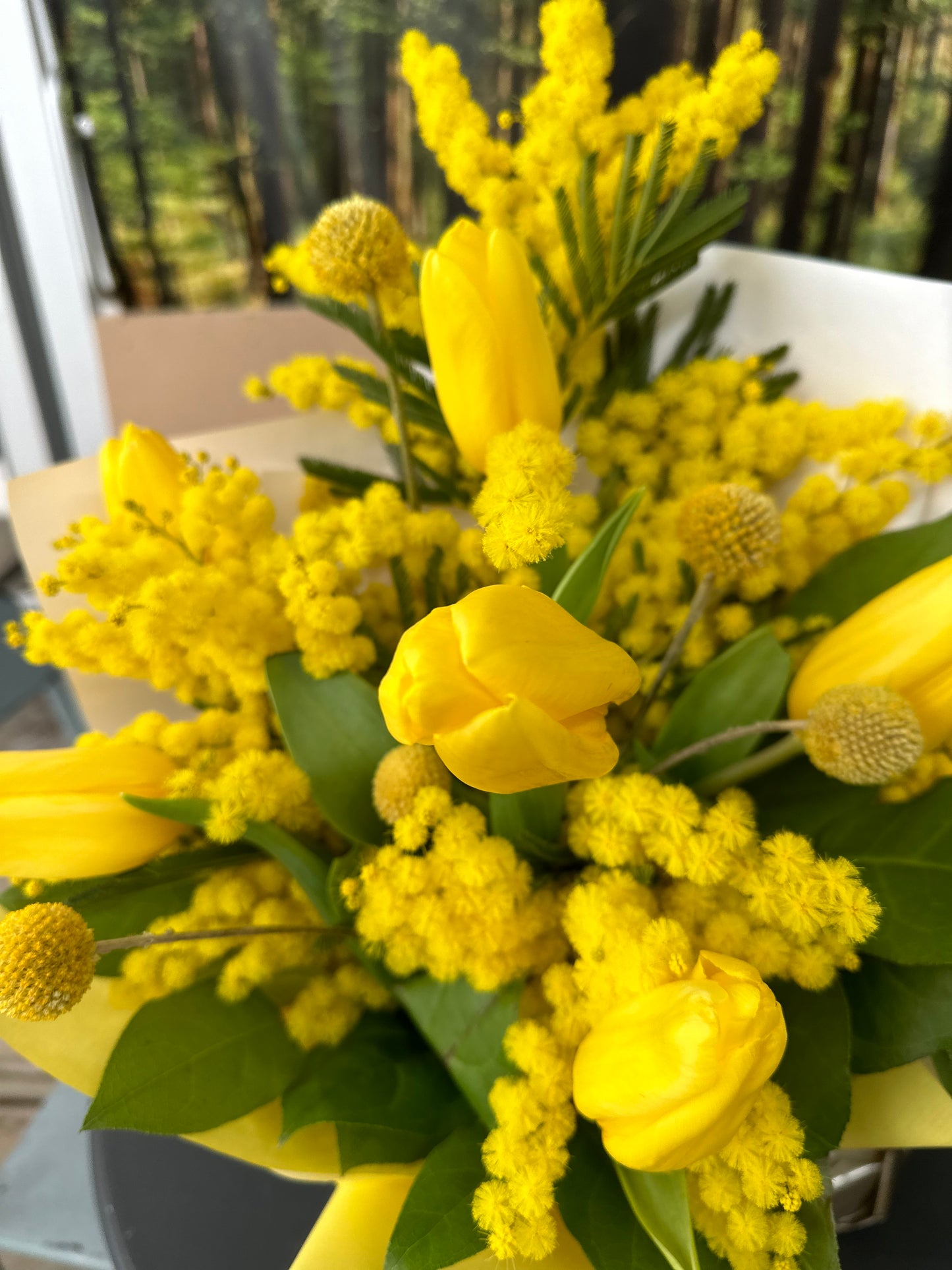 Jardin Foggia-Bouquet de tulipes et Mimosa