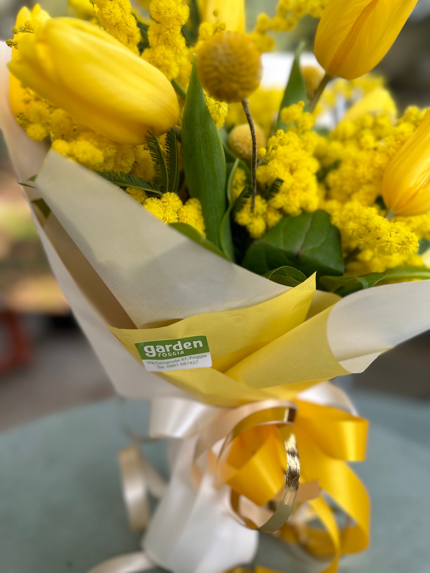 Jardin Foggia-Bouquet de tulipes et Mimosa